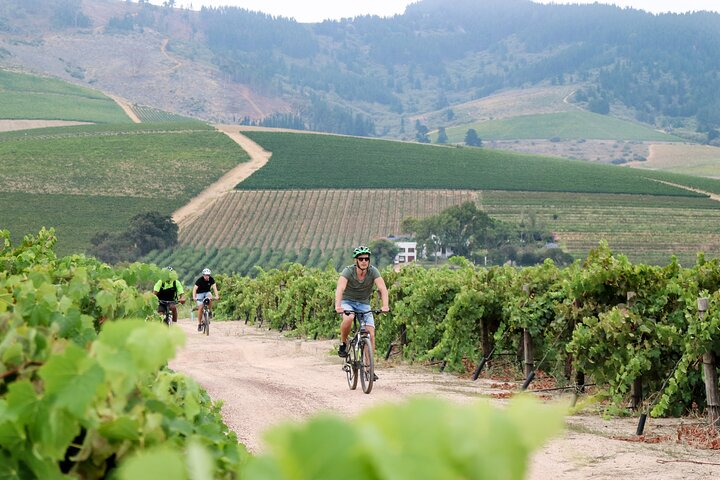 Stellenbosch Half Day Winelands Cycle Tour - Photo 1 of 7